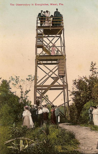 Everglades Observatory