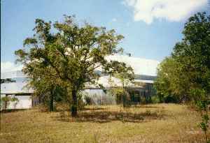 The abandoned building.